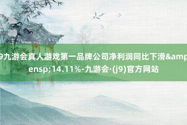 j9九游会真人游戏第一品牌公司净利润同比下滑&ensp;14.11%-九游会·(j9)官方网站