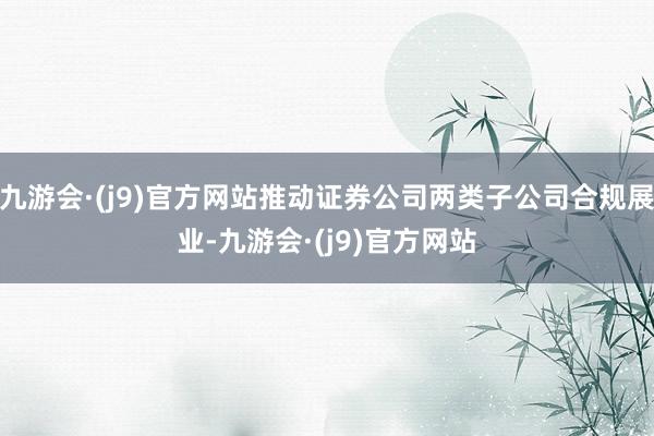 九游会·(j9)官方网站推动证券公司两类子公司合规展业-九游会·(j9)官方网站