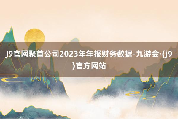 J9官网聚首公司2023年年报财务数据-九游会·(j9)官方网站