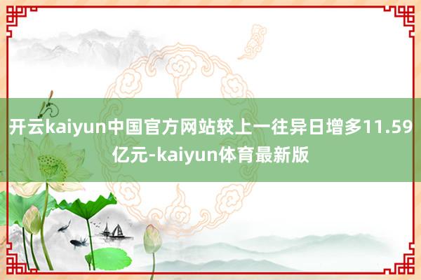 开云kaiyun中国官方网站较上一往异日增多11.59亿元-kaiyun体育最新版