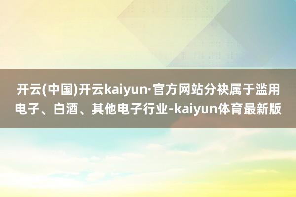 开云(中国)开云kaiyun·官方网站分袂属于滥用电子、白酒、其他电子行业-kaiyun体育最新版